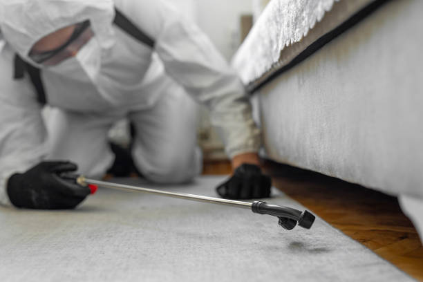 Professional Termite Control technician working in Troy, TN