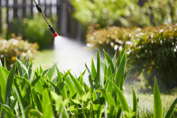 24/7 Emergency Termite Control experts in Troy, TN